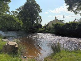 View from our site