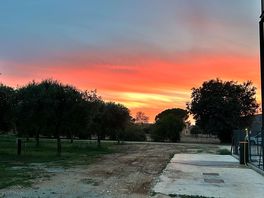 Agricola siurana sun set