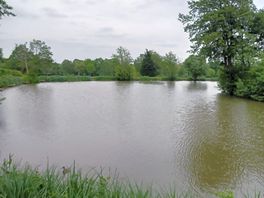Scenery