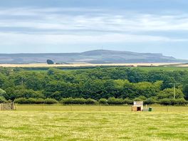 Lovely views