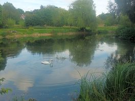 Great little site. quiet camping next to a trout fishing lake. what could be better.