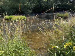 Very pretty next to the river.