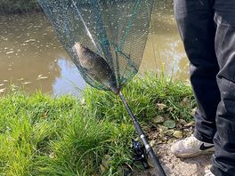 Caught a nice fish