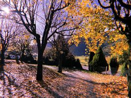 Beautiful fall scenary.