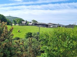 Nearby farm with cattle and sheep gives a great countryside feel.