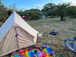 Orchard