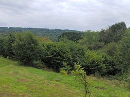 Lovely views