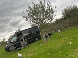 Lovely large pitches
