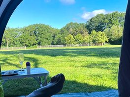 Morning view