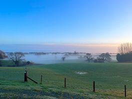 The morning view from the front door of the cabin