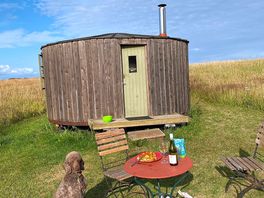 Our yurt.