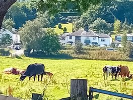 Our view from our campervan