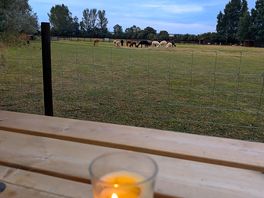 The evening view
