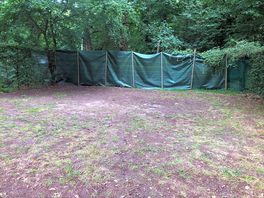 Standplaats tent, uithoek van de camping. achter het groene scherm. groenafvalplaats