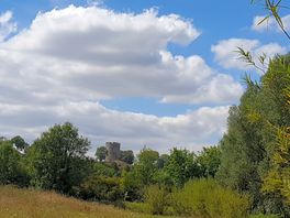 Vu sur le donjon