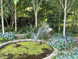 Buckfast abbey gardens
