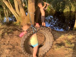 Playing on the provided rope swings