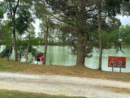 Lago