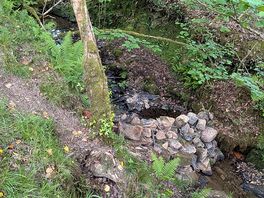Stream running through the site.