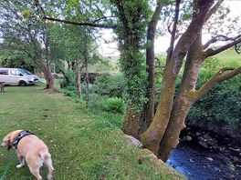 By the river