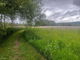 Avon river walk. very well