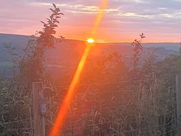 Beautiful evening ✨️