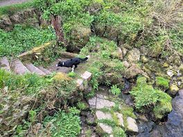 River walk