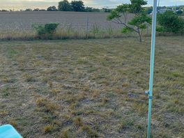 The view