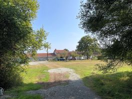 Looking towards the main buildings from the wood