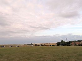 The open site