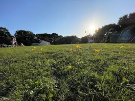 Campsite field up close