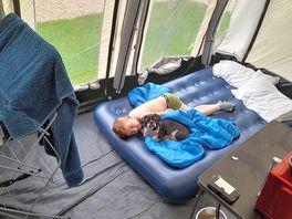 Leo having a rest