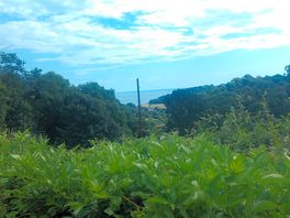A sea view!