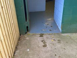 Dirty/ disgusting toilets