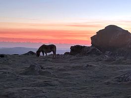 Sourton tors - walking distance from campsite