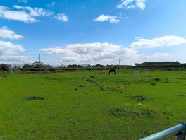 Animals and scenery at shepherds views holidays