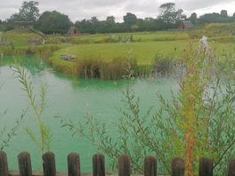 Pond