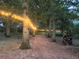 Nearby wooded area