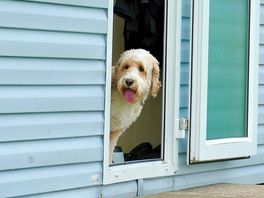 Murphy scared he’s missing out on something.
