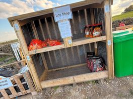 Log store