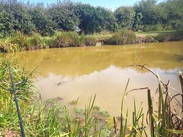 Fishing pool