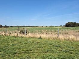 Our pitch.