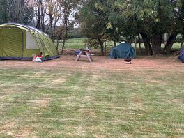 Nice spacious pitches
