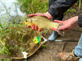 Fishing at wild weald