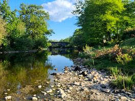 River earn