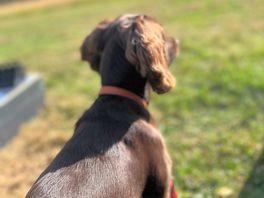 Bea enjoying her holiday