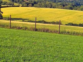 Rolling hills and sunshine.