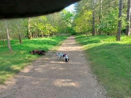 Walk