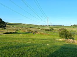 Landscape view 1