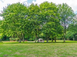 Trees around the pitches